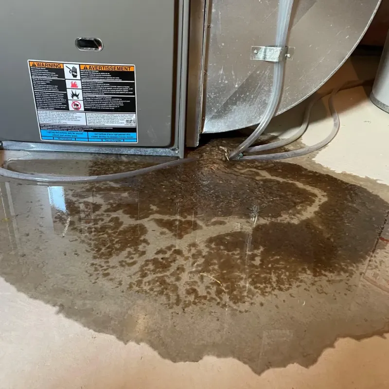 Appliance Leak Cleanup in Suffolk County, NY